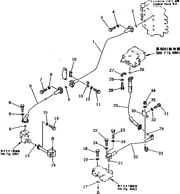 Komatsu parts book diagram for PC1000-1 S/N 10001-UP: BOOM CYLINDER HEAD PIPING (FOR CONTROL VALVE ? R.H.)(CHASSIS SIDE)